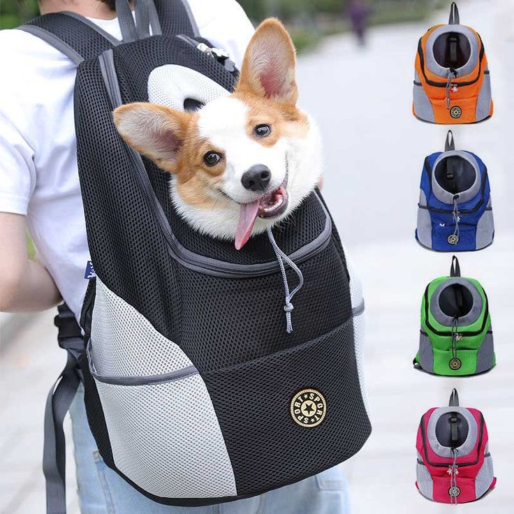 Stylish Dog Bag: Travel, Comfort, and Convenience
