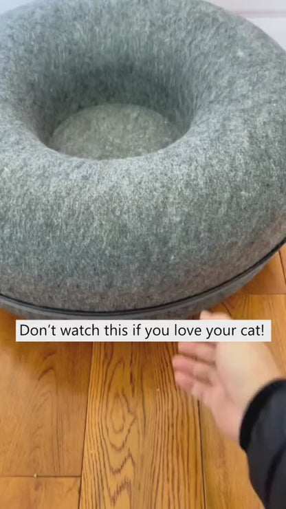 Best Donut Cat Tunne ed