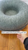 Best Donut Cat Tunne ed