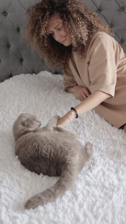 Automatic Cat Fountain